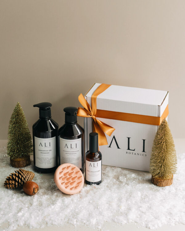 ANTI-CAÍDA XMAS BOX